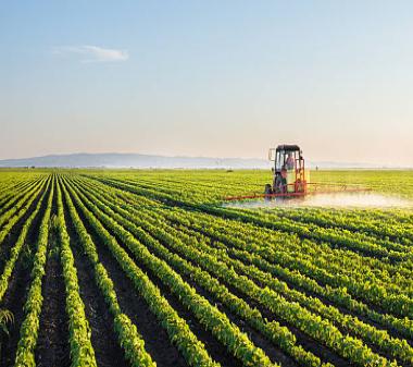 Agribusiness Solution