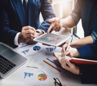 Consultancy Expertise
